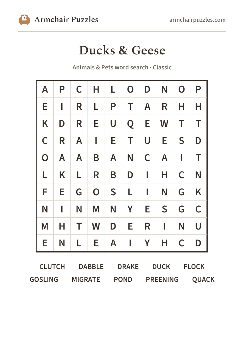 The printable Ducks & Geese word search sheet