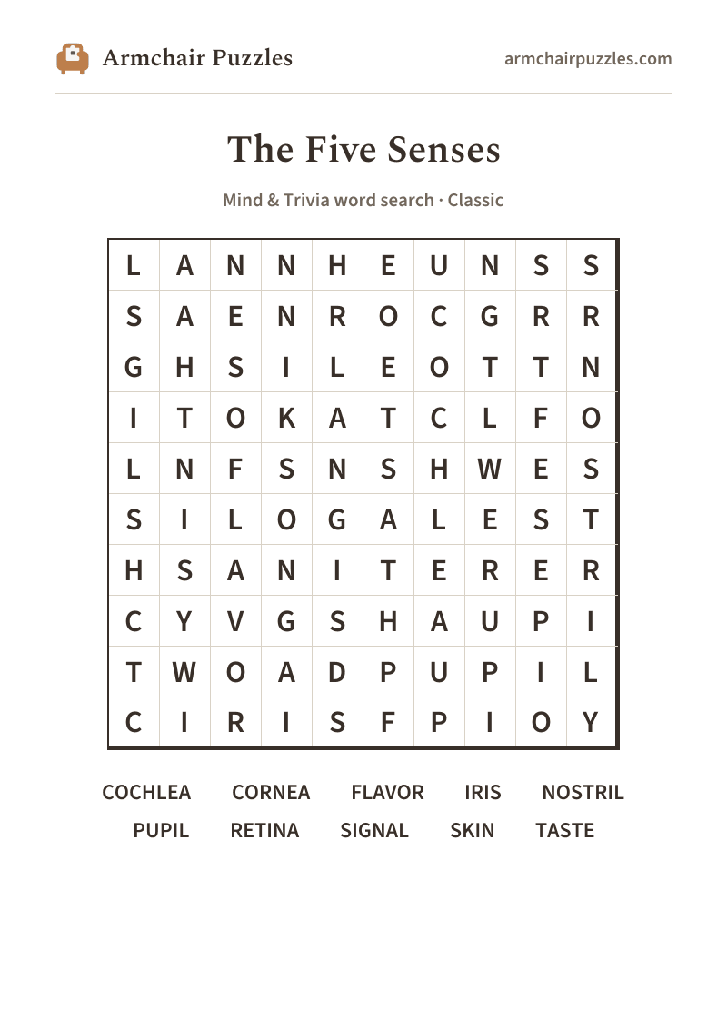 The printable The Five Senses word search sheet: large-print Classic grid with its word list