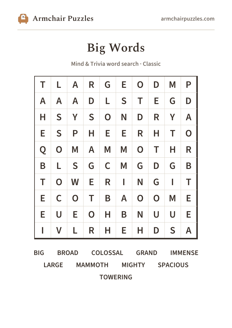 The printable Big Words word search sheet